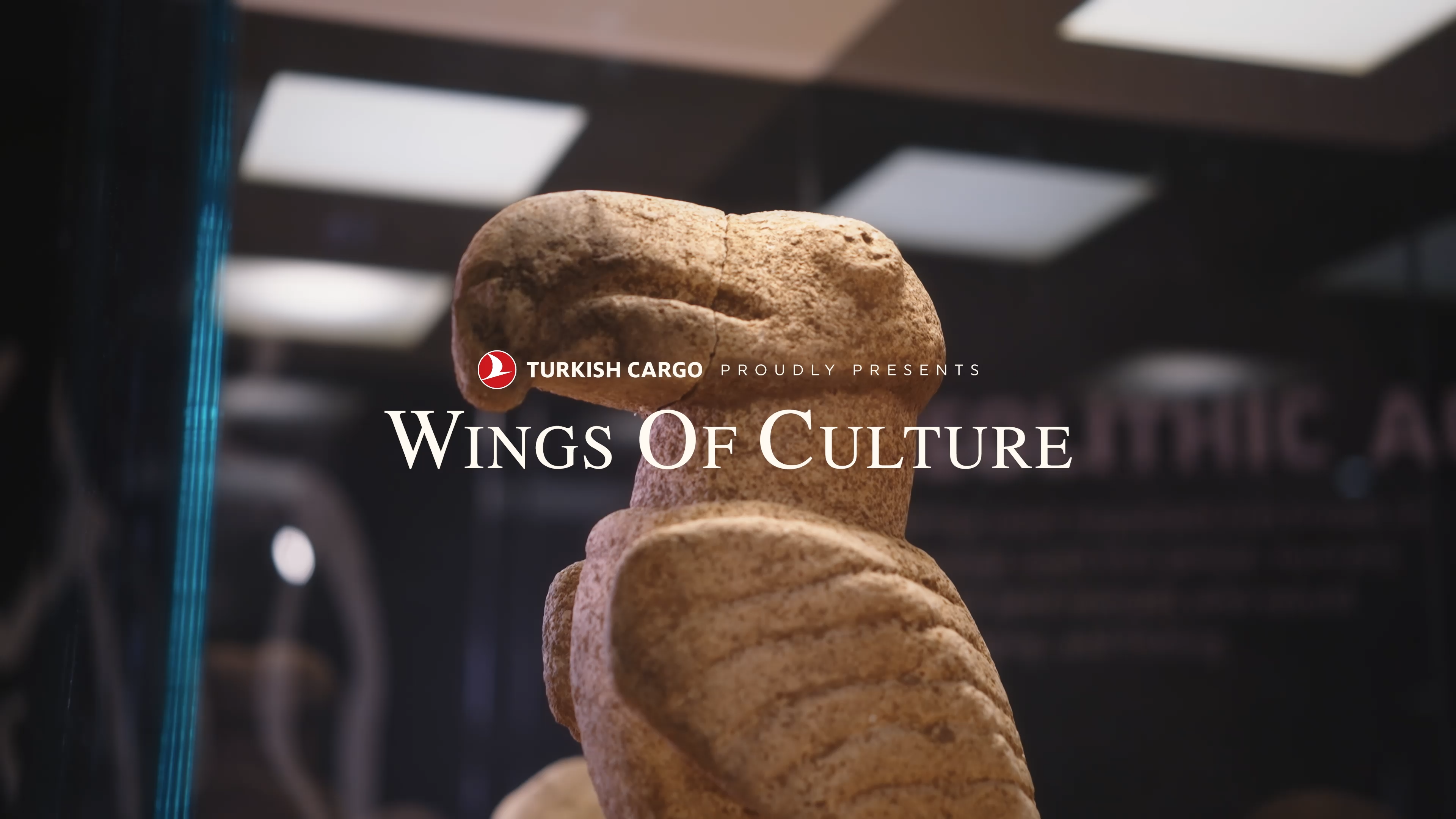 Turkish Airlines — Wings of Culture - Turkish Cargo